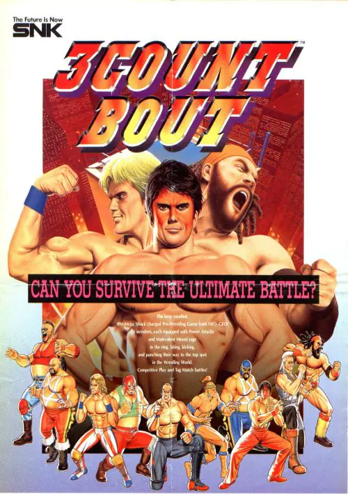 3 Count Bout / Fire Suplex  ROM download