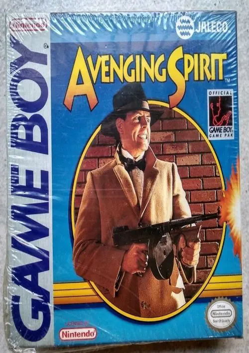 Avenging Spirit ROM download