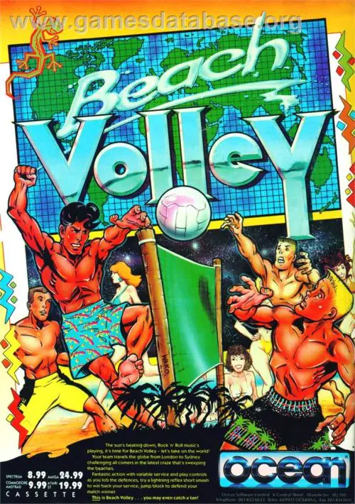Beach Volley ROM download