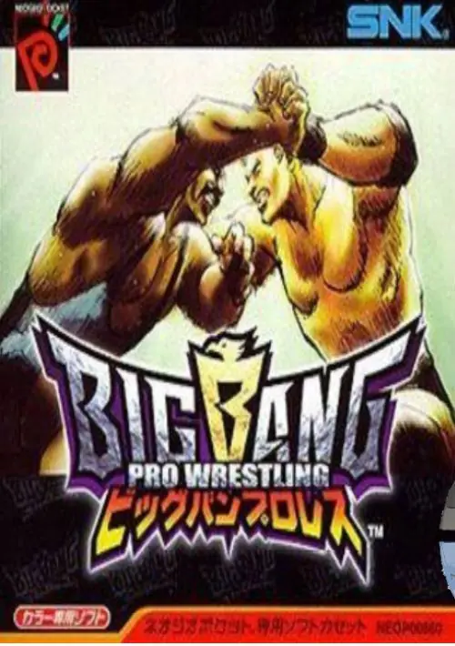 Big Bang Pro Wrestling ROM download