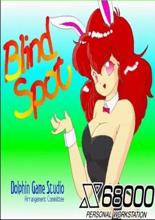 Blind Spot (1991)(Dolphin Game Studio) ROM download