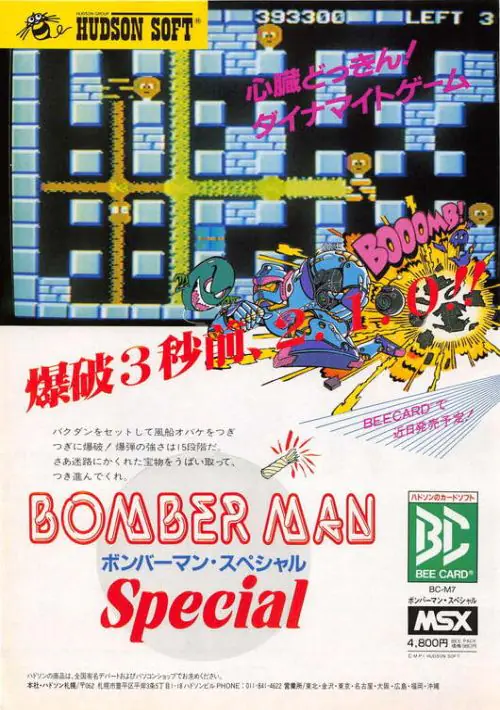 Bomberman Special ROM download