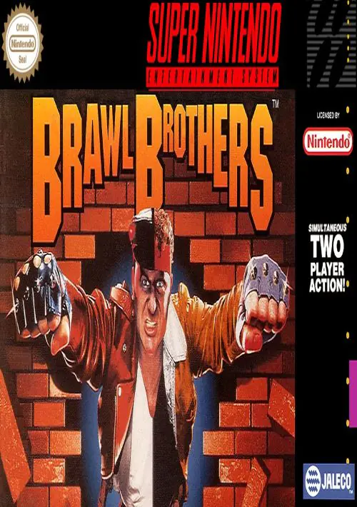 Brawl Brothers ROM download