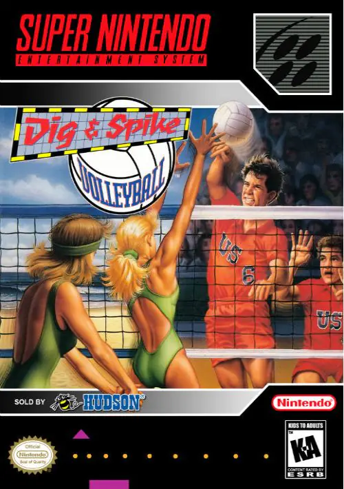 Dig & Spike Volleyball ROM download