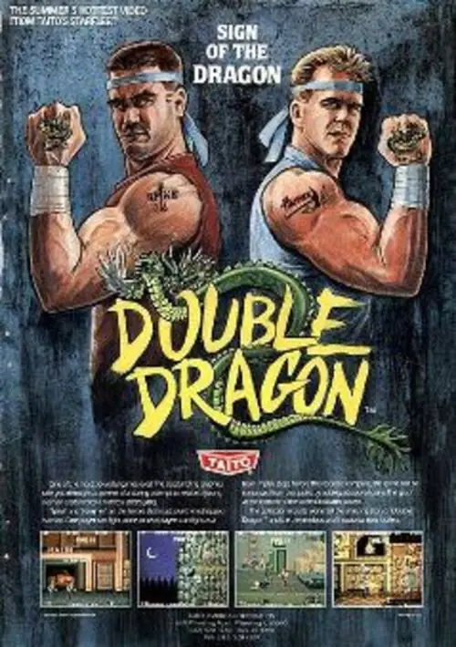 Double Dragon (1988)(Tradewest)[cr 42-Crew] ROM download