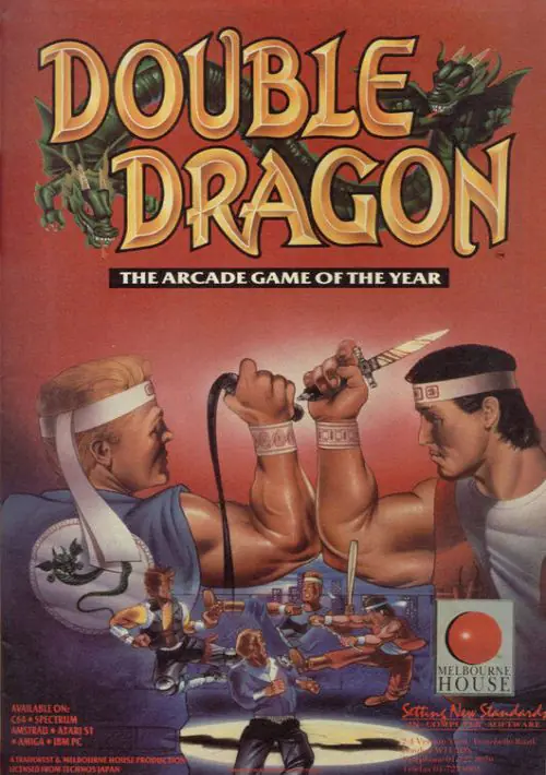 Double Dragon (1989)(Dro Soft)[re-release] ROM download