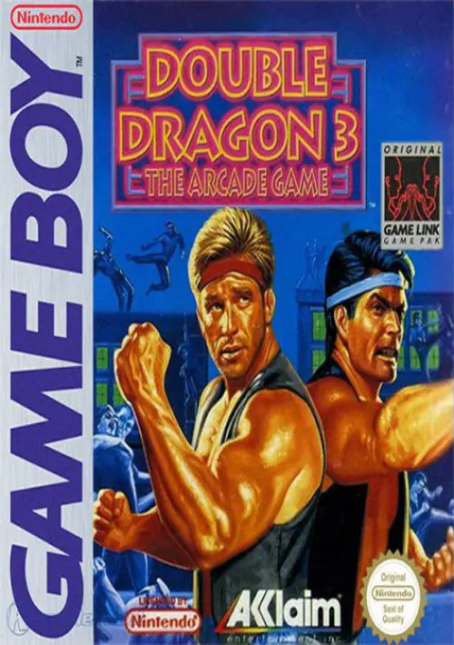 Double Dragon 3 ROM download