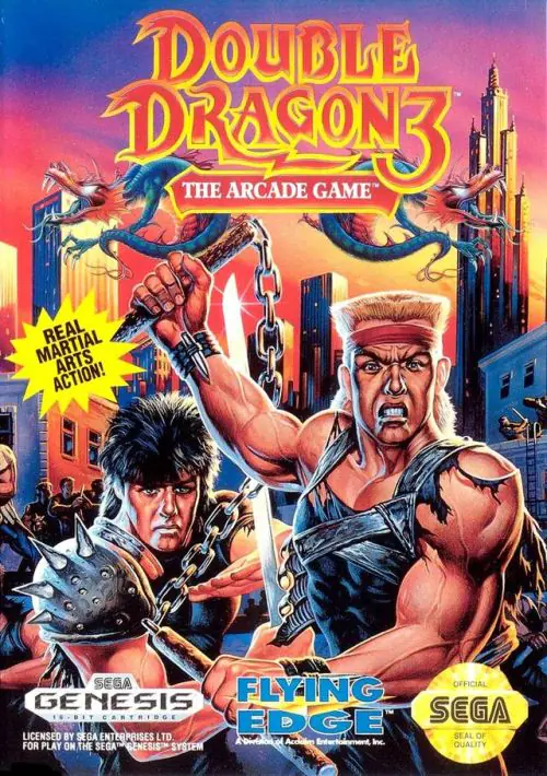 Double Dragon 3 - The Arcade Game ROM download
