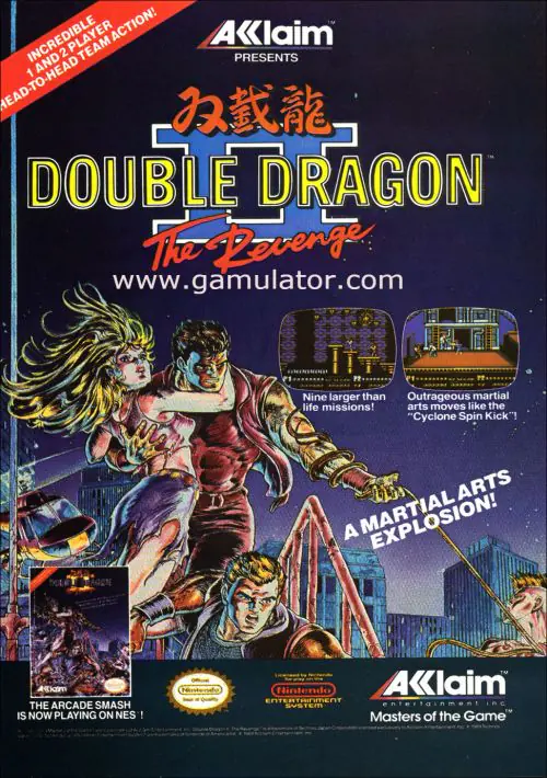 Double Dragon II - The Revenge ROM download