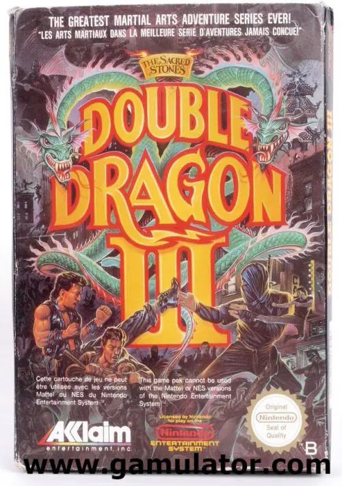 Double Dragon III - The Sacred Stones ROM download