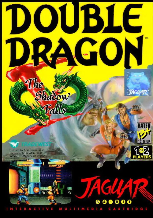 Double Dragon V - The Shadow Falls ROM download