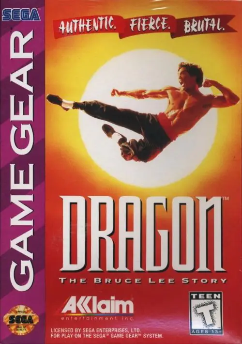 Dragon - The Bruce Lee Story ROM download