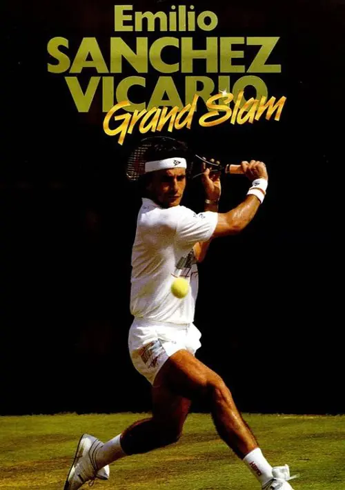 Emilio Sanchez Vicario Grand Slam (S) (1989) [a1].dsk ROM download