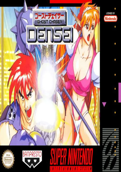 Ghost Chaser Densei ROM download