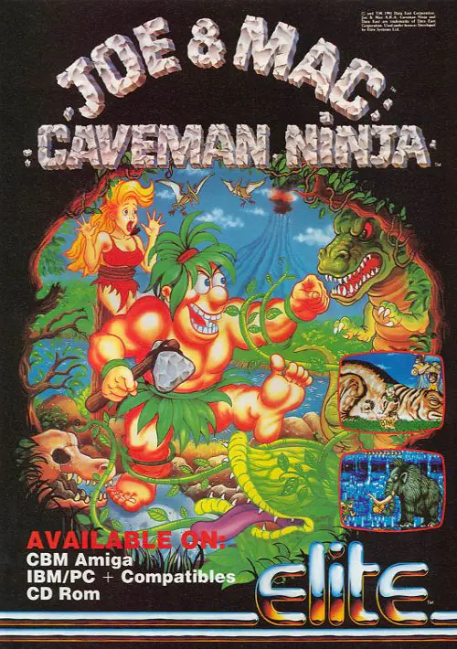 Joe & Mac - Caveman Ninja_Disk0 ROM download