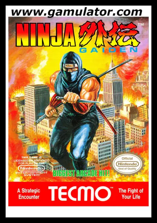 Ninja Gaiden (PC10) ROM download