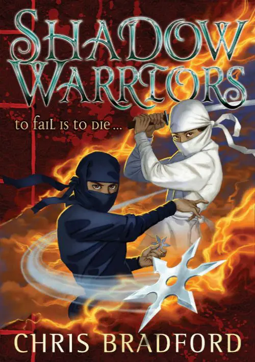 Shadow Warriors (World, set 1) ROM