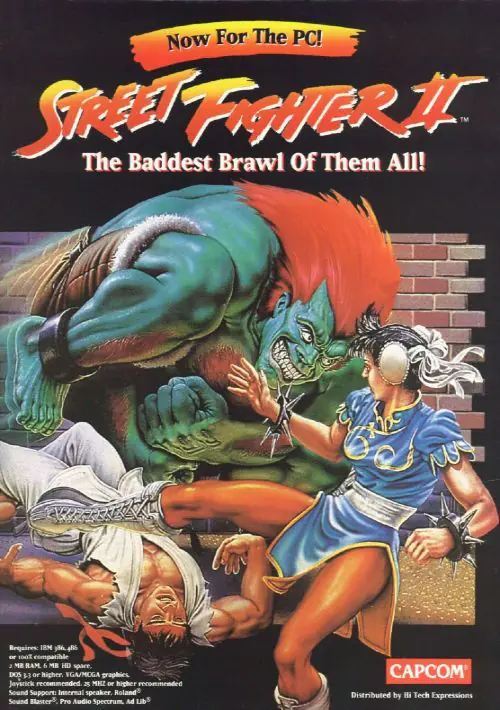 Street Fighter II - The World Warrior_Disk2 ROM
