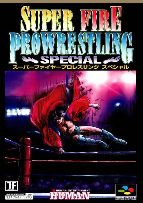 Super Fire Pro Wrestling Special ROM download