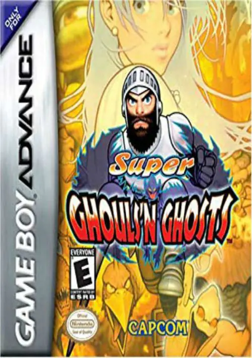 Super Ghouls 'N Ghosts ROM download