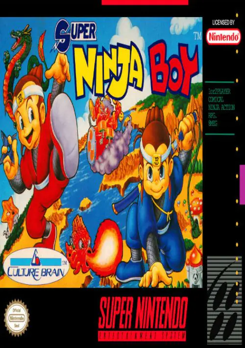  Super Ninja Boy ROM download