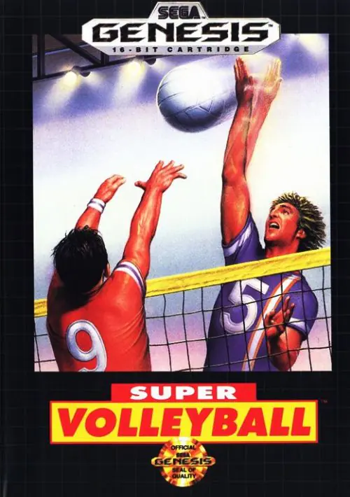 Super Volley Ball ROM download