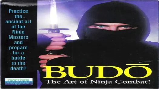 Budo - The Art of Ninja Combat!
