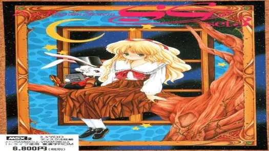 D.P.S. SG Set 3 (1991)(Alice Soft)(Disk 3 of 4)(Rabbit P4P)