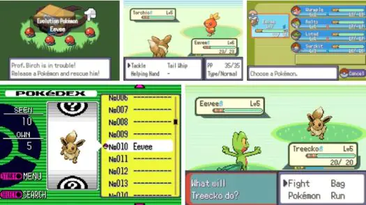 Pokemon Eevee Emerald