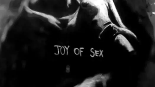 The Joy of Sex ROM