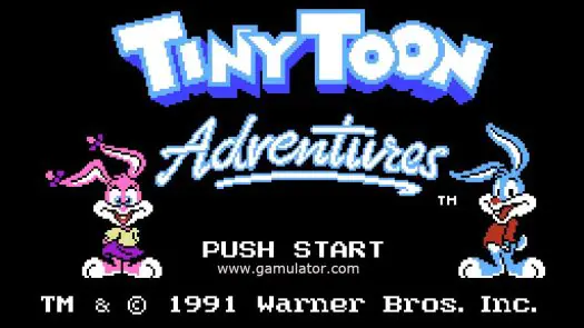 Tiny Toon Adventures ROM