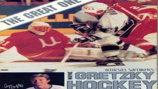 Wayne Gretzky Hockey