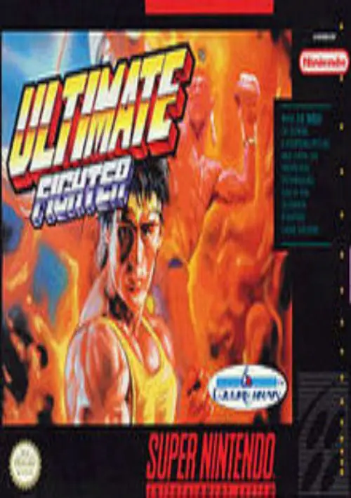 Ultimate Fighter ROM download