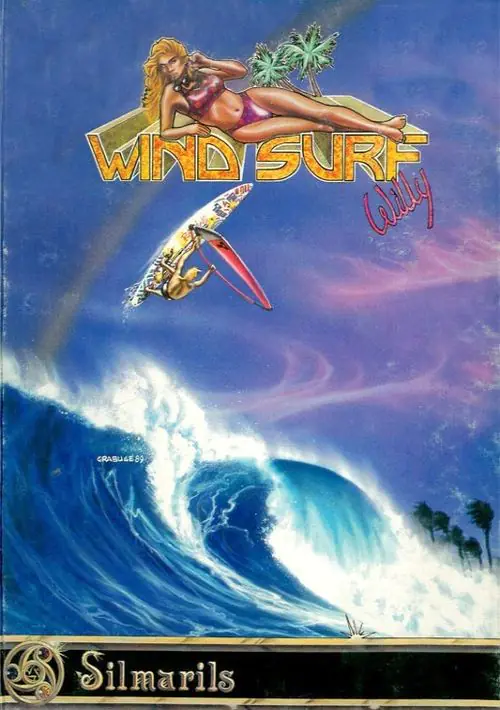 Windsurf Willy (1989) [f1].dsk ROM download