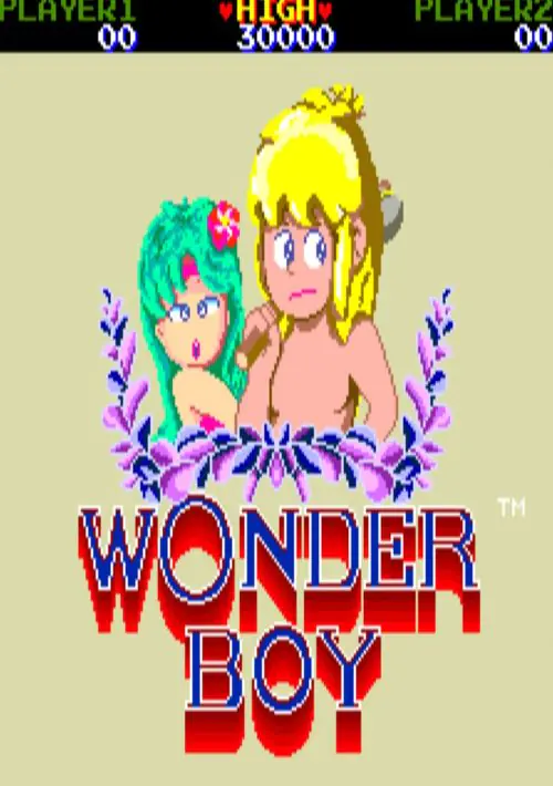 Wonder Boy ROM download